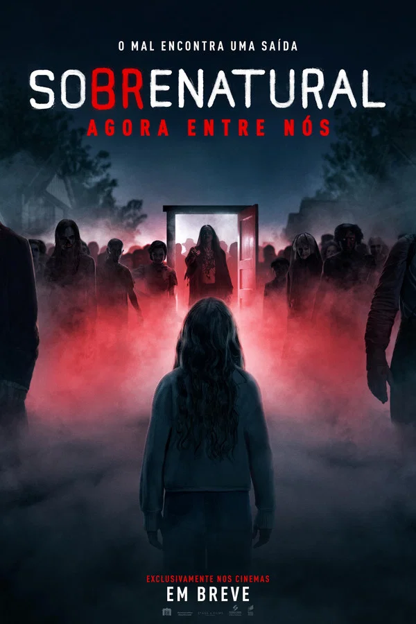 Pôster de filme 4